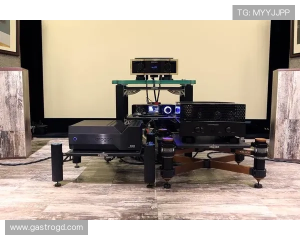 欧博会员端口功能特色与优势分析，提升您的会员体验与游戏乐趣