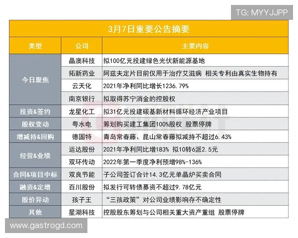 太阳娱乐公司简介与发展历程：从成立到行业领先的关键节点